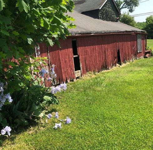 Barn At Dey Farm By Lisa Londino Macyda 021419.jpg