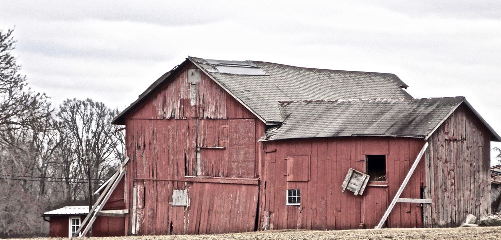 Dey Farm By Alex Ostrow 021419.jpg