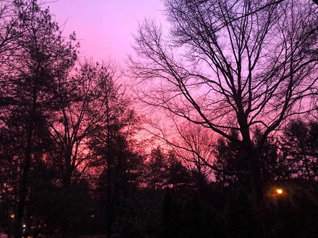 Sunset By Priti Salaskar 021419.jpg
