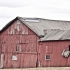 Dey Farm By Alex Ostrow 021419.jpg