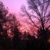 Sunset By Priti Salaskar 021419.jpg